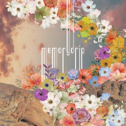 memorydrip