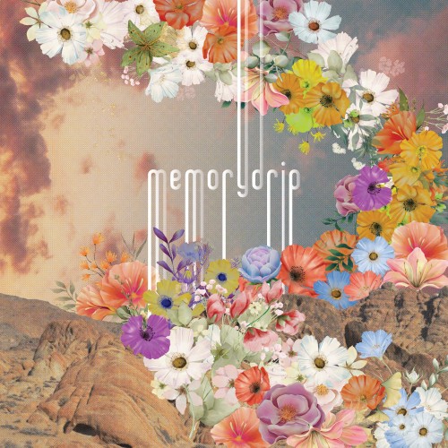 memorydrip