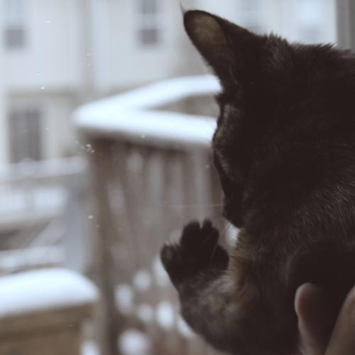 Winter Beats