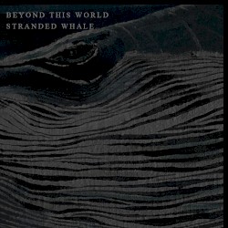 Beyond This World