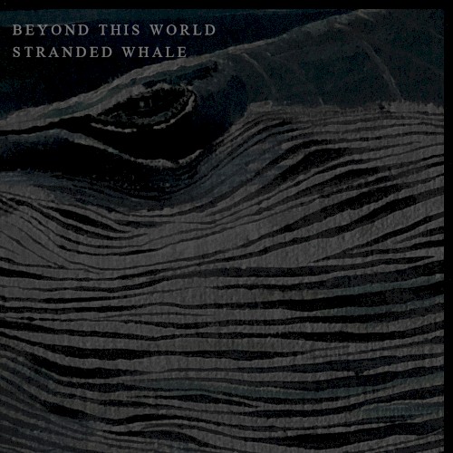 Beyond This World