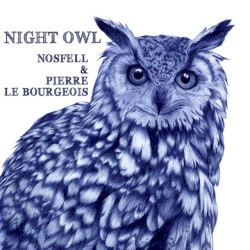 Night Owl