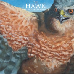 The Hawk