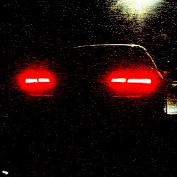 Beach Drive