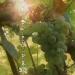 Orchards