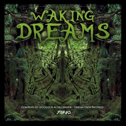 Waking Dreams