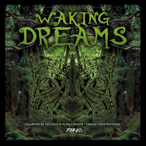 Waking Dreams