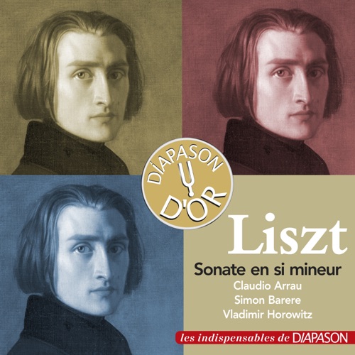 Sonate pour piano en si mineur, S. 178
