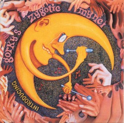 Introducing...Gorky’s Zygotic Mynci