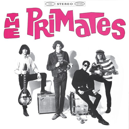 We Are The Primates