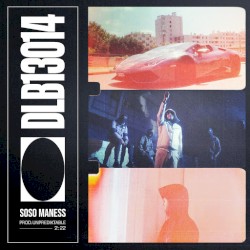 DLB13014