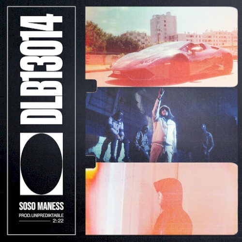 DLB13014