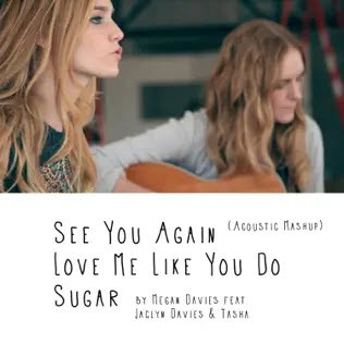 See You Again, Love Me Like You Do, Sugar (Acoustic Mashup) - Single