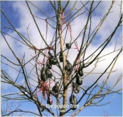 The Poison Tree