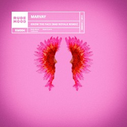 Know the Face (Bad Royale remix)