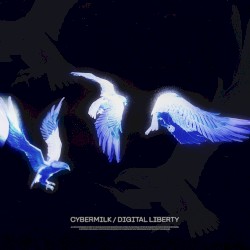 Digital Liberty