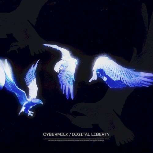 Digital Liberty
