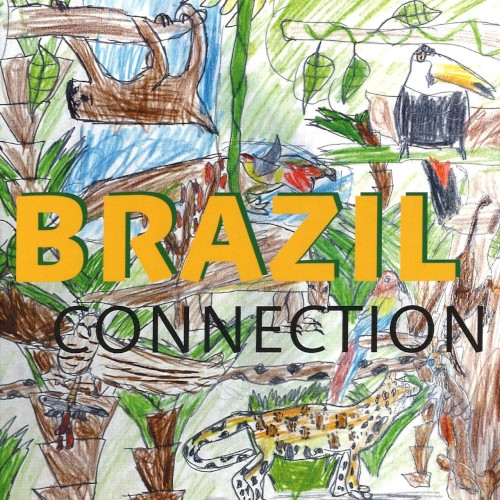 Brazil Connection