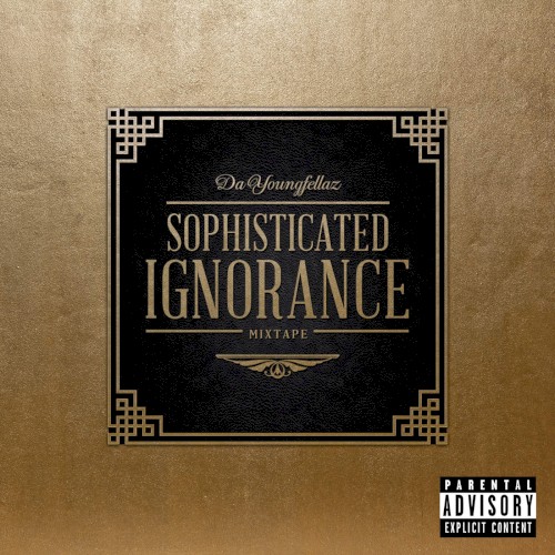 Sophisticated Ignorance