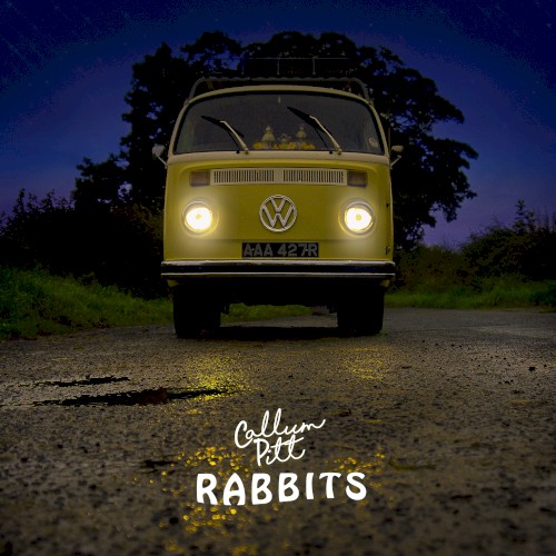 Rabbits