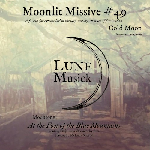 Moonlit Missive #49