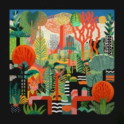 Rainforest