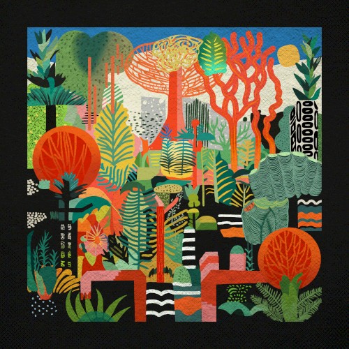 Rainforest