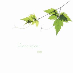 Piano voice