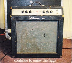 Continue to Enjoy The Figgs