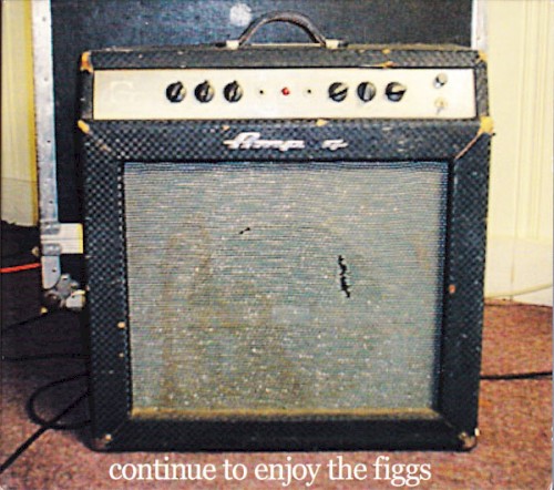 Continue to Enjoy The Figgs