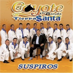 Suspiros