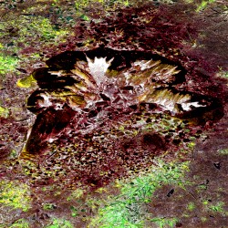 Tantra Tracks