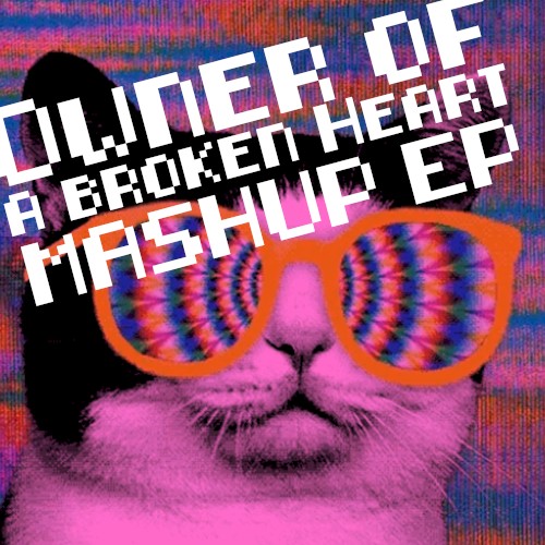 Owner of a Broken Heart Mashup
