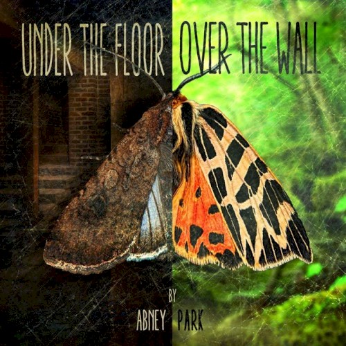 Under the Floor, Over the Wall