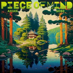Piece of Mind