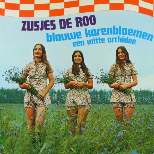 Zusjes de Roo (Blauwe korenbloemen - een witte orchidee)