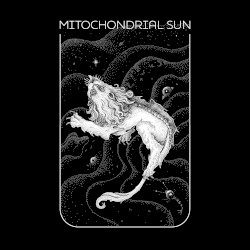 Celestial Animal