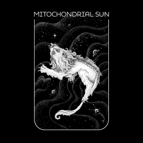 Celestial Animal