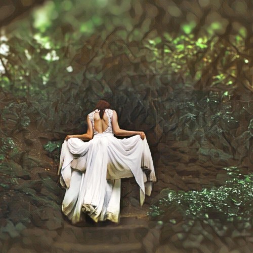 Chasing Butterflies