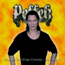 Covers Vol. 17