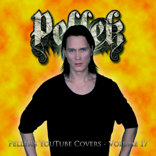 Covers Vol. 17