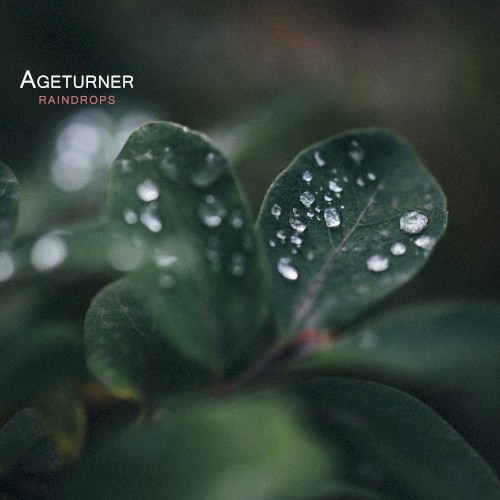 Raindrops