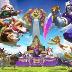 Cats VS Dogs