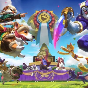 Cats VS Dogs