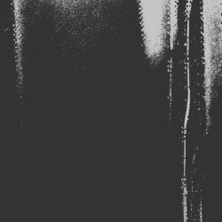 Lost Connection