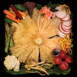 Vegetable EP