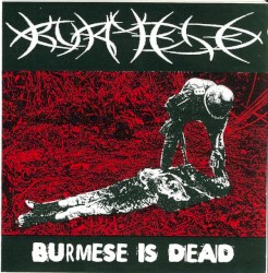 Burmese is Dead