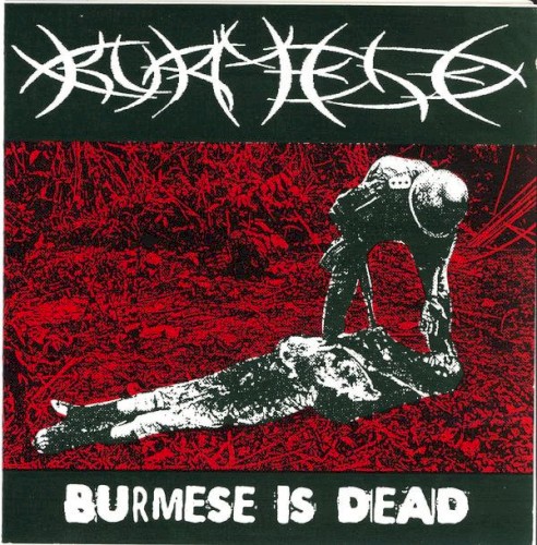 Burmese is Dead