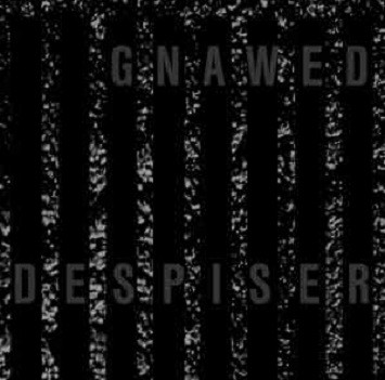 Despiser