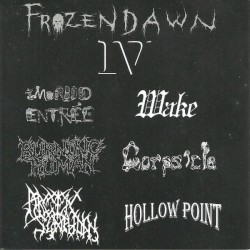Frozen Dawn IV